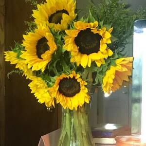 Meet your Posher, Sherry